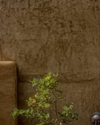 Taos -5.jpg