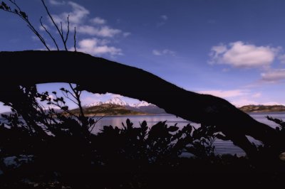 Ushula 0004 (10-17-08).jpg