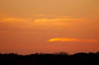 Image-104.jpg