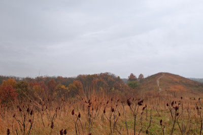 Image-12.jpg