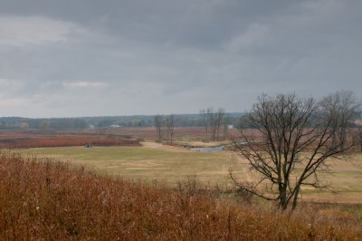 Image-13.jpg