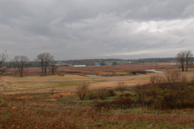 Image-14.jpg