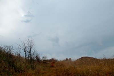 Image-17.jpg