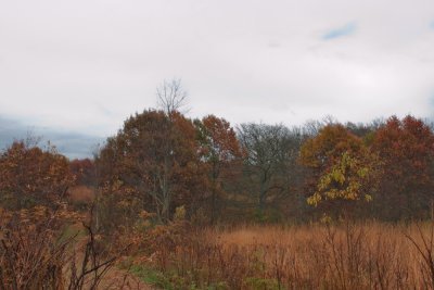 Image-18.jpg