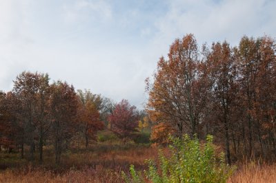 Image-25.jpg
