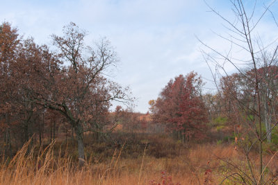 Image-26.jpg