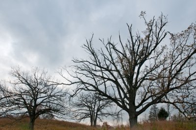 Image-3.jpg