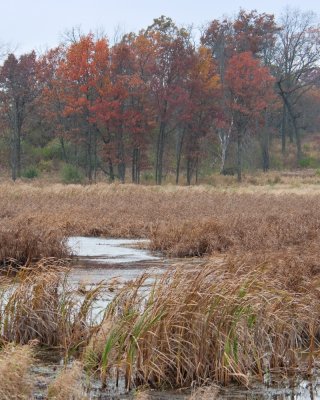 Image-44.jpg