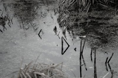 Image-51.jpg