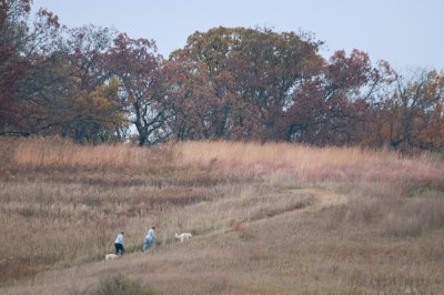 Image-53.jpg
