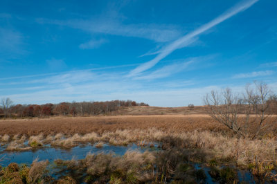 Image-56.jpg