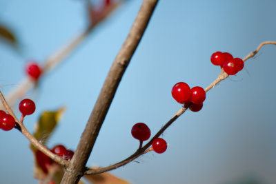 Image-66.jpg