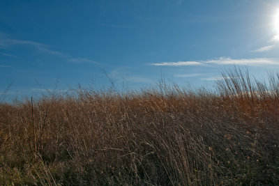 Image-77.jpg