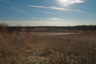 Image-81.jpg