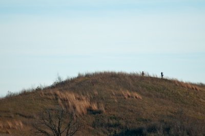 Image-90.jpg