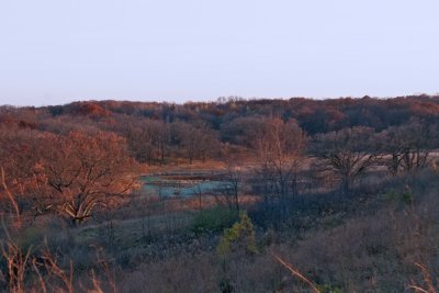 Image-96.jpg