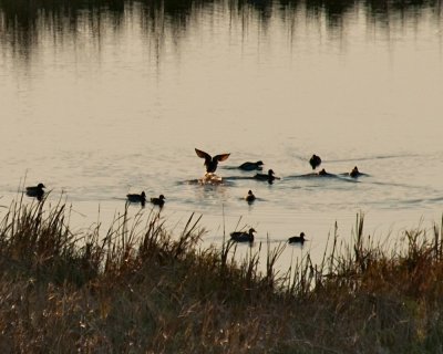 Glacial Park Conservation Area