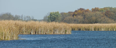 Image 13