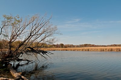 Image 16