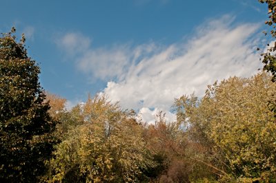 Image 17
