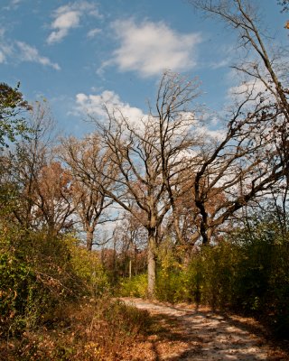Image 19