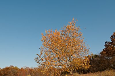 Image 22