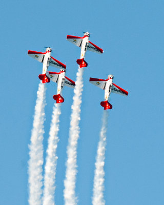 Chicago Air and Water Show 2010