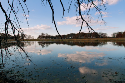 Ethel's Woods Forest Preserve