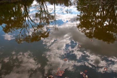 Ethel's Woods Forest Preserve