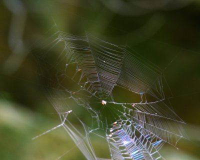 75