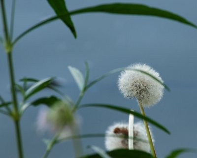 82