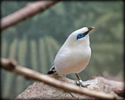 g1/93/843393/3/130487020.EyVvrMRm.jpg