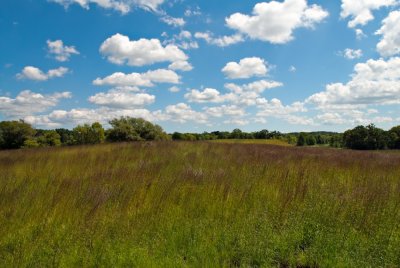 Volo Bog State Natural Area