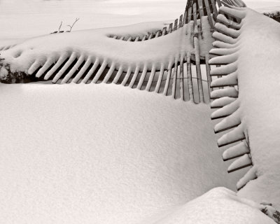 Snow (on) Fence