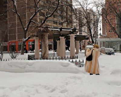 Park on Rush Street