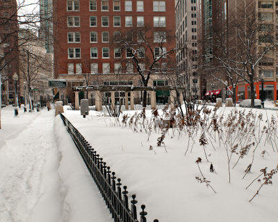 Park on Rush Street