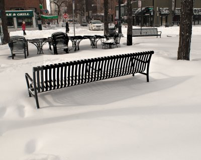 Park on State Street