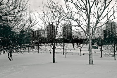 Lincoln Park