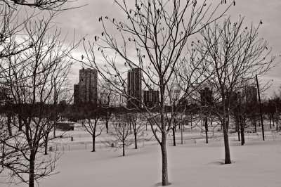 Lincoln Park