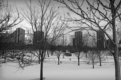 Lincoln Park