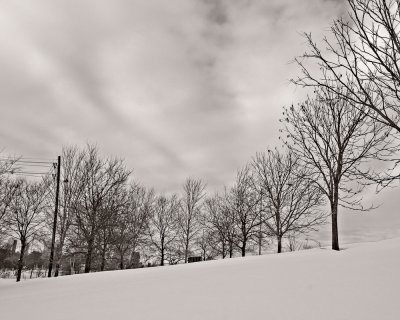 Lincoln Park