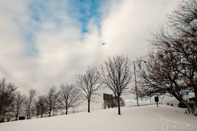 Lincoln Park