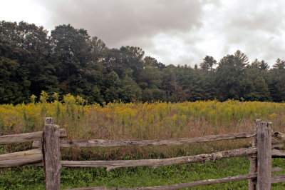 Along the Parkway near Linville Falls