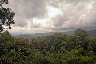 Along the Parkway south of Linville Falls