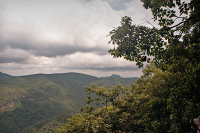 Along the Parkway south of Linville Falls