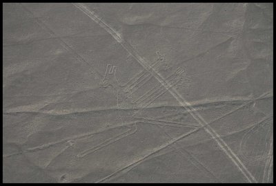 Les lignes de Nazca