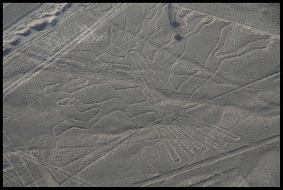 Les lignes de Nazca