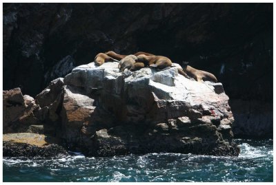 les Ballestas