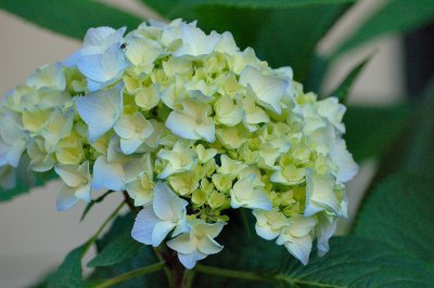 g1/93/852293/3/115243833.yAxWTgiL.jpg