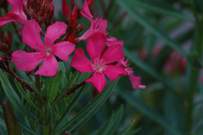 g1/93/852293/3/115243869.75ozQhG1.jpg